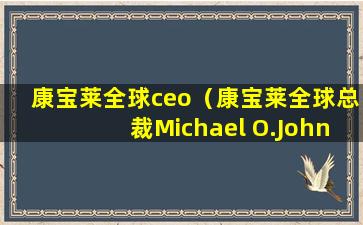 康宝莱全球ceo（康宝莱全球总裁Michael O.Johnson）